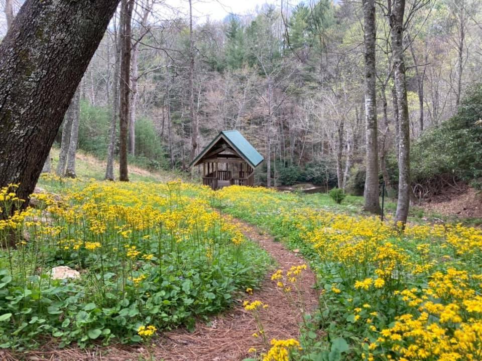 Little River Cabin Sparta Luaran gambar