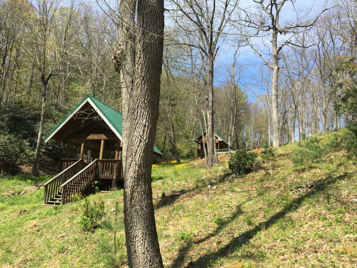 Little River Cabin Sparta Luaran gambar
